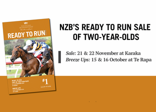 NZB's 2018 Ready to Run Sale catalogue is now online.